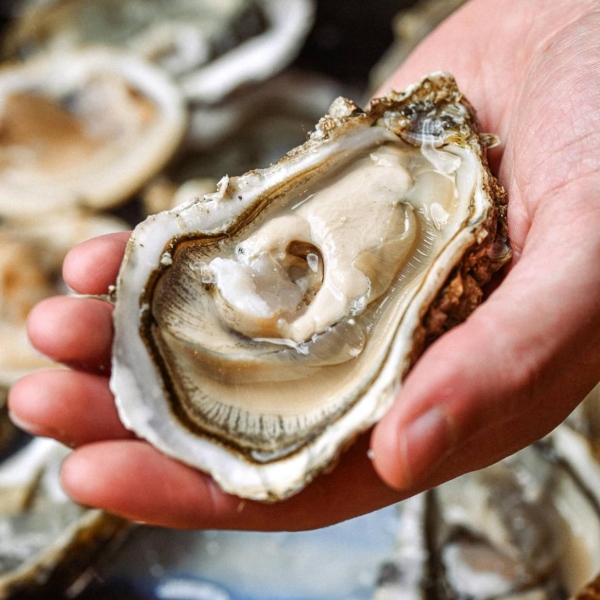 La carte - Quilles Et Coquilles - restaurant VINCENNES